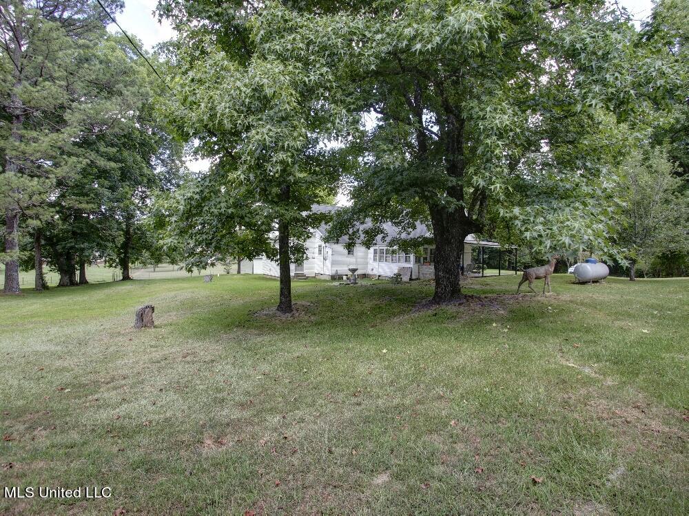 6148 Mt Olivet Road Batesville, MS 38606 - Photo 25 of 26 _MG_1612_3_4