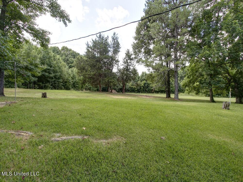 6148 Mt Olivet Road Batesville, MS 38606 - Photo 26 of 26 _MG_1615_6_7