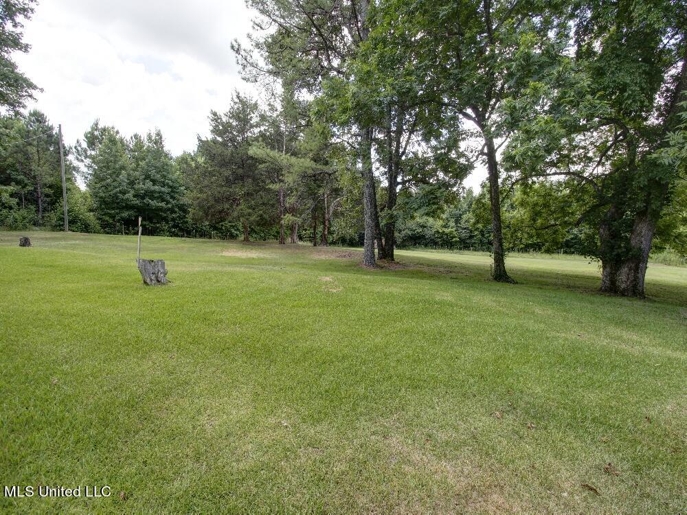 6148 Mt Olivet Road Batesville, MS 38606 - Photo 4 of 26 _MG_1603_4_5