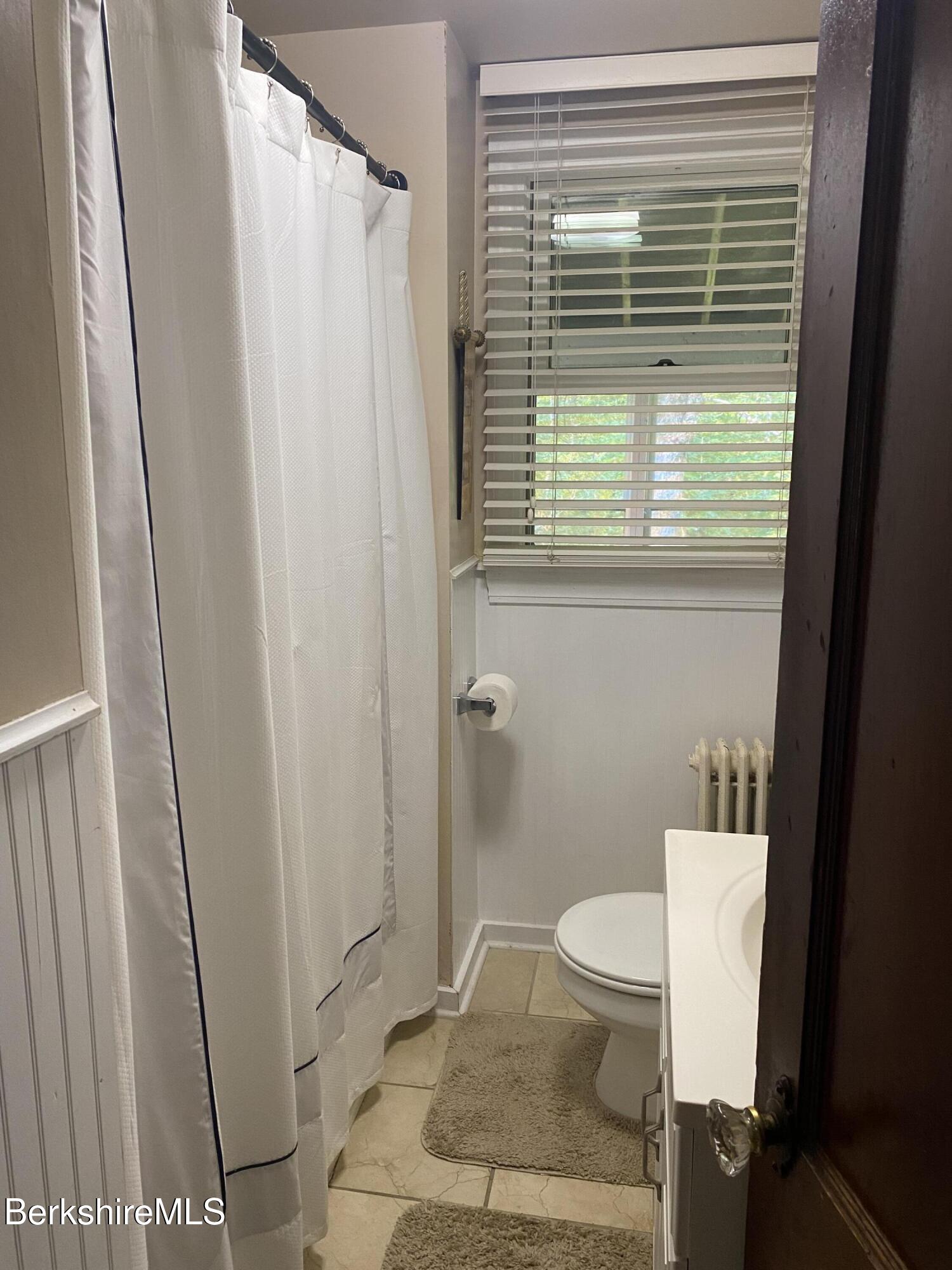 355 Laurel Street Lee, MA 01238 - Photo 11 of 19 a bathroom with a toilet and a shower