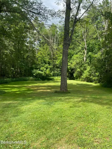 a view of a yard with a large trees
