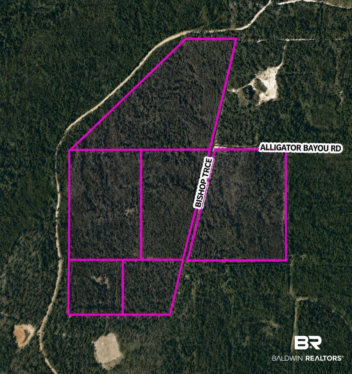 0 Bishop Trace Lillian, AL 36549 - Photo 1 of 8 All Parcels