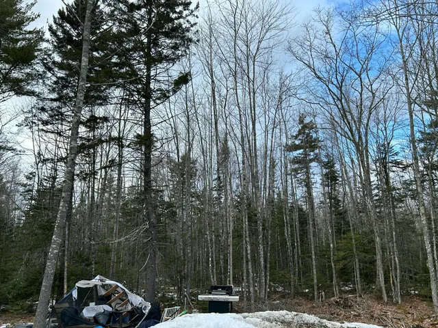 $75,000 | 203 Blacks Woods Road, Cherryfield, ME 04622