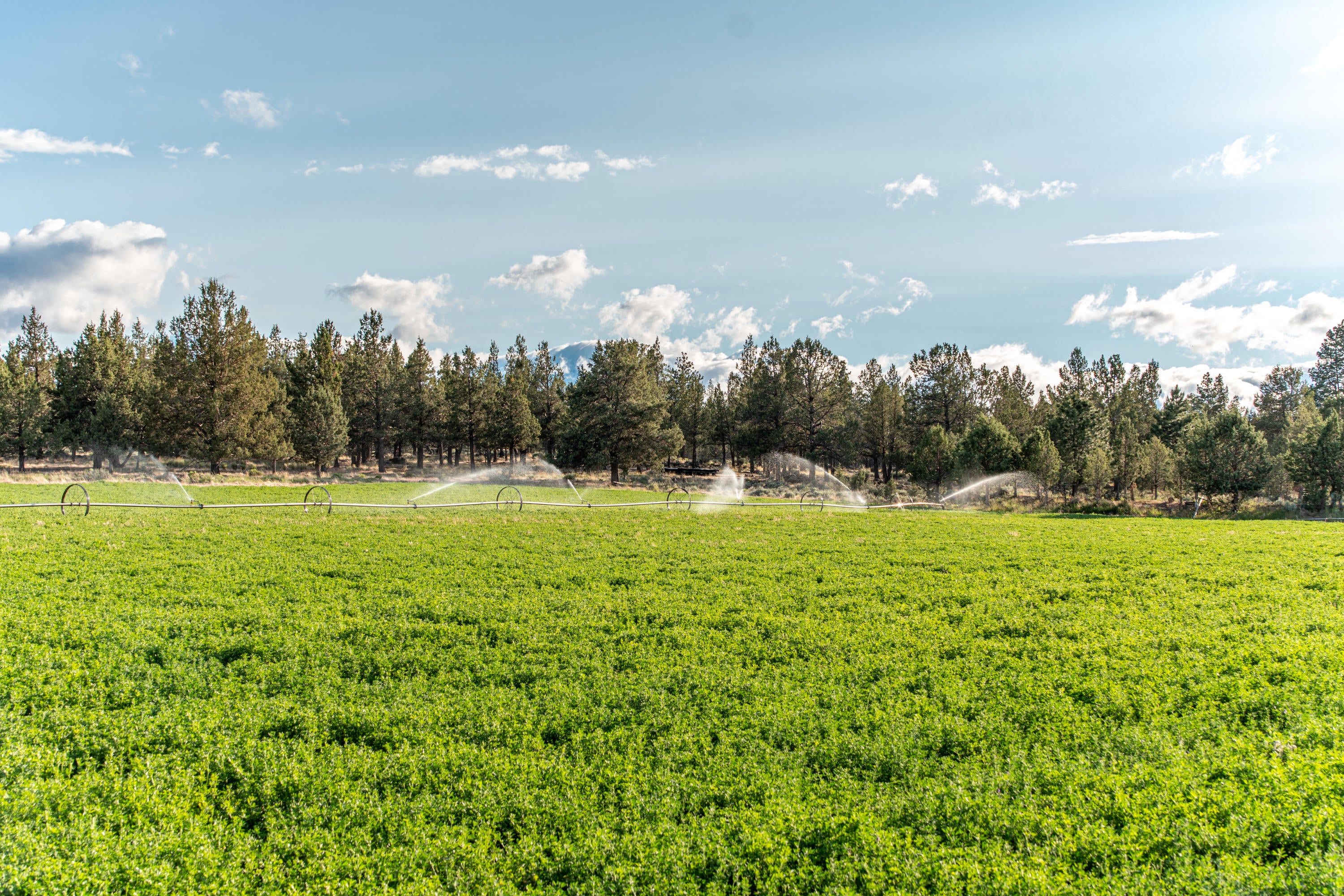 69620 Carlton Road Sisters, OR 97759 - Photo 47 of 50 RileyVisuals-75