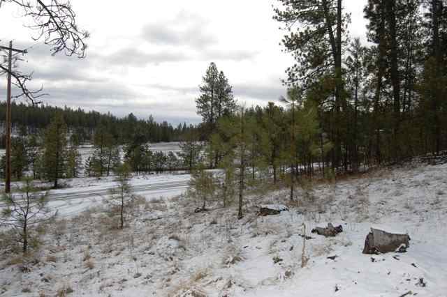 0 South Goss Road Cheney, WA 99004 - Photo 1 of 4