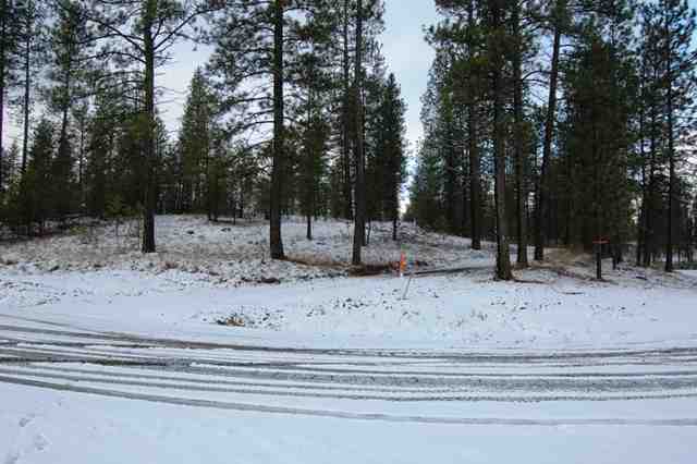 0 South Goss Road Cheney, WA 99004 - Photo 3 of 4