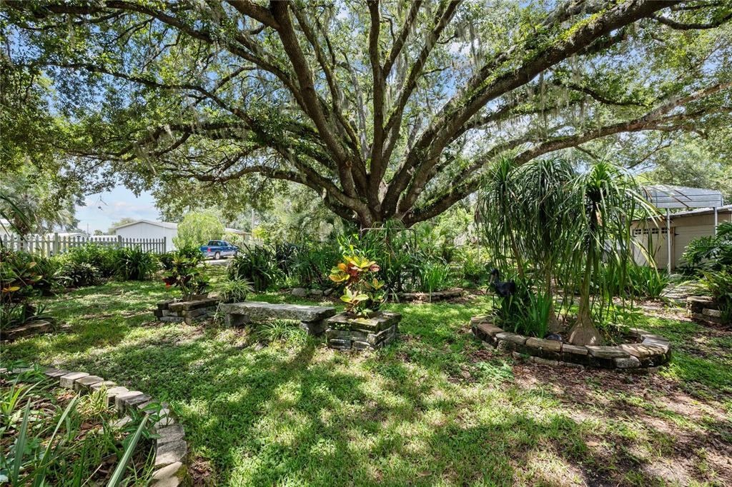 34945 Buck Road Zephyrhills, FL 33541 - Photo 8 of 47 Gallery Image 8
