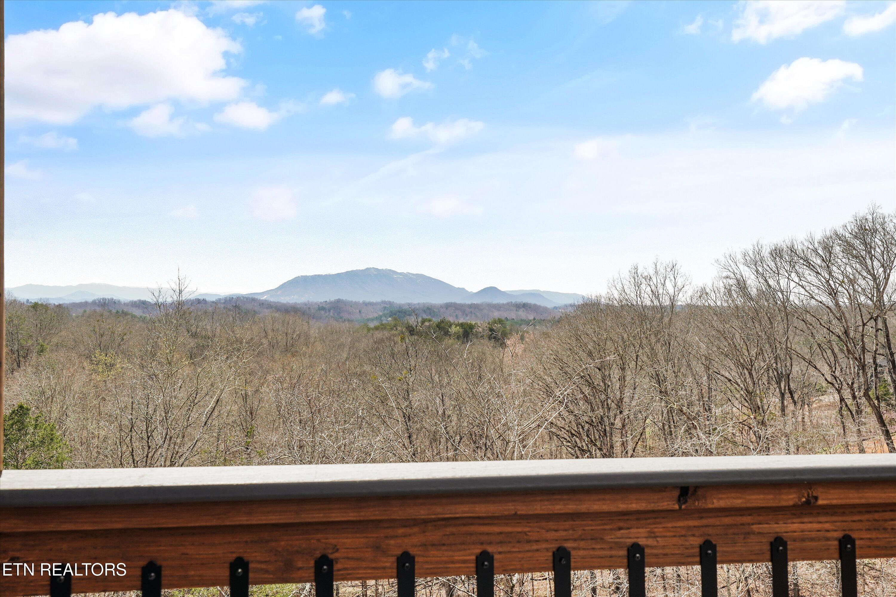 1258 Reedmont Way Sevierville, TN 37876 - Photo 53 of 60 043-1258 Reedmont Wy40