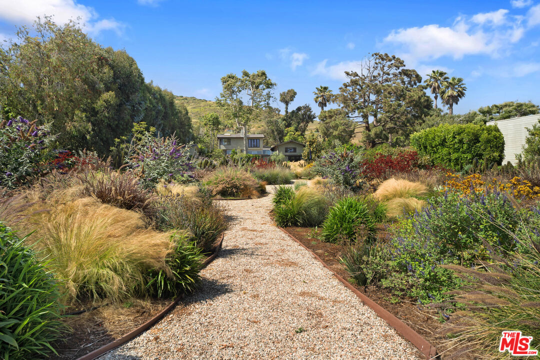 31226 Bailard Road Malibu, CA 90265 - Photo 21 of 40 a view of a garden with plants and large trees
