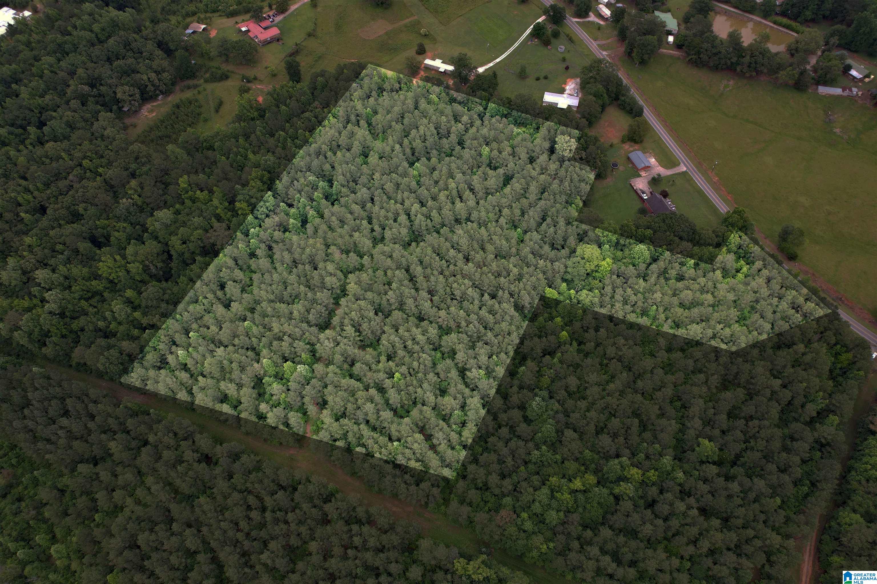 0 Houston Road Sylacauga, AL 35151 - Photo 26 of 32