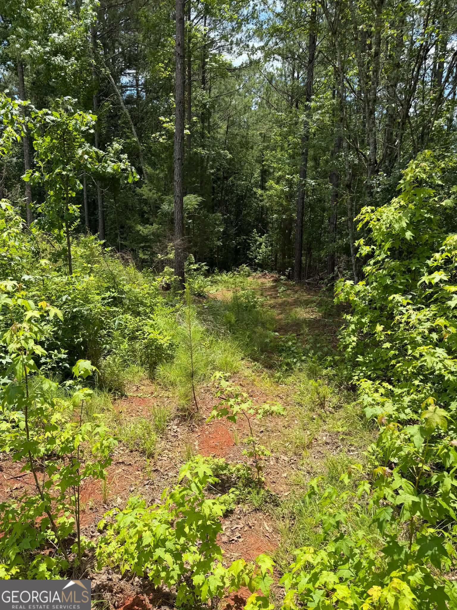 0 Whatley North Road LaGrange, GA 30240 - Photo 6 of 11
