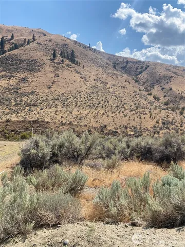 a view of a dry yard with mountains in the background