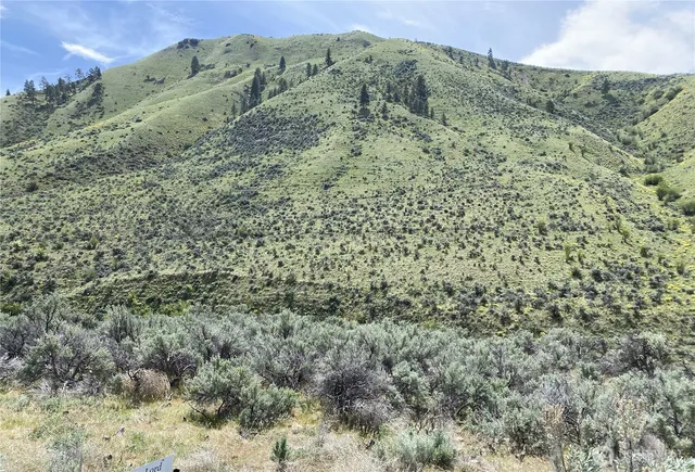 a view of a field with mountains in the background