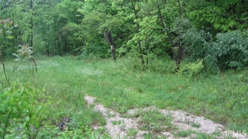 Tbd Bailey Scales Road Bedford, IN 47421 - Photo 2 of 2