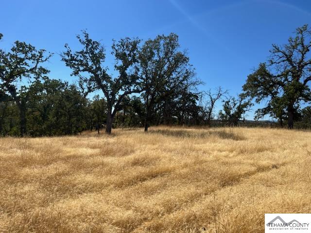 Dead Cow Creek Road Red Bluff, CA 96080 - Photo 6 of 10