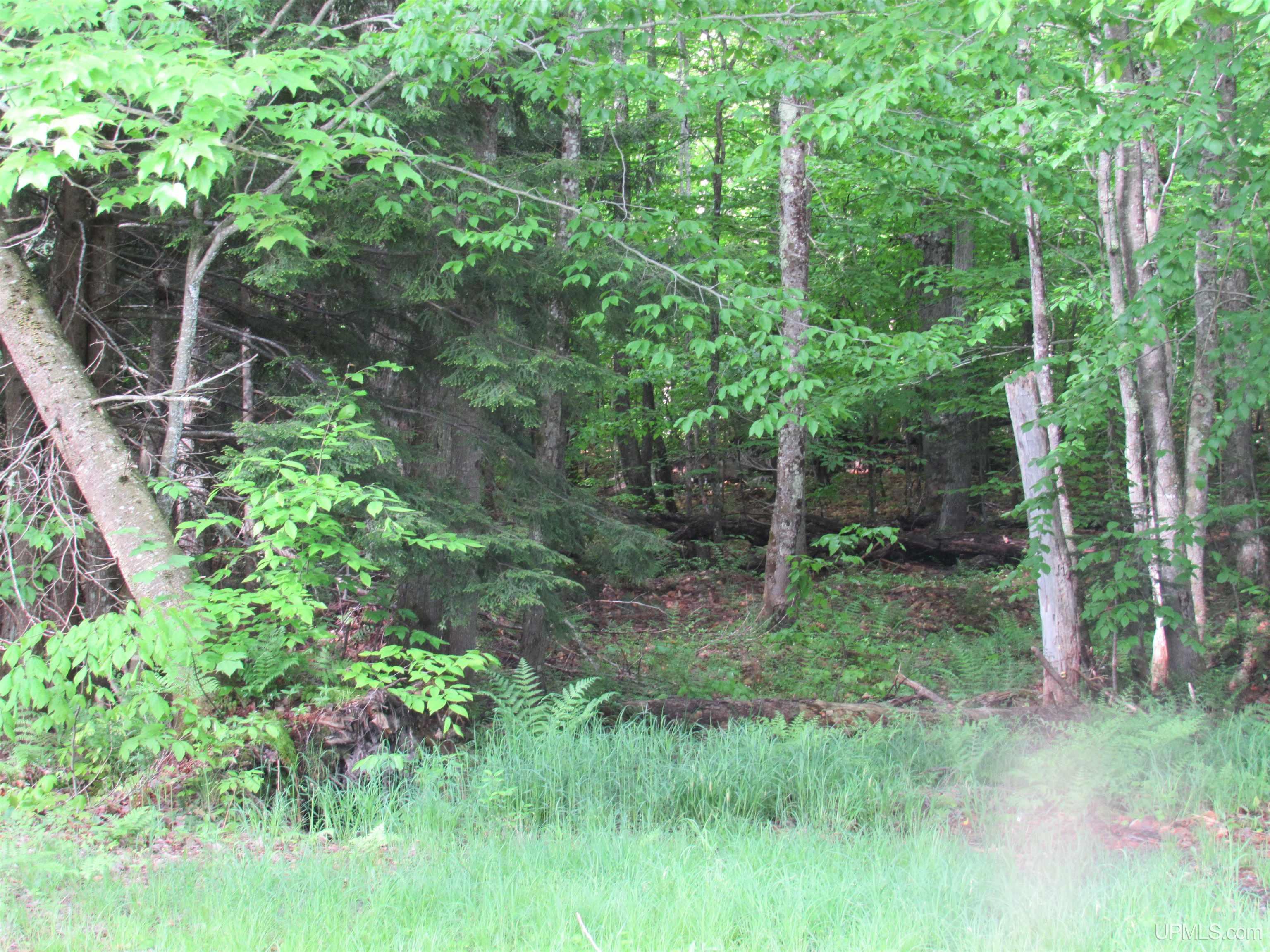 Tbd Tbd Sigan Camp Road Seney, MI 49883 - Photo 38 of 41