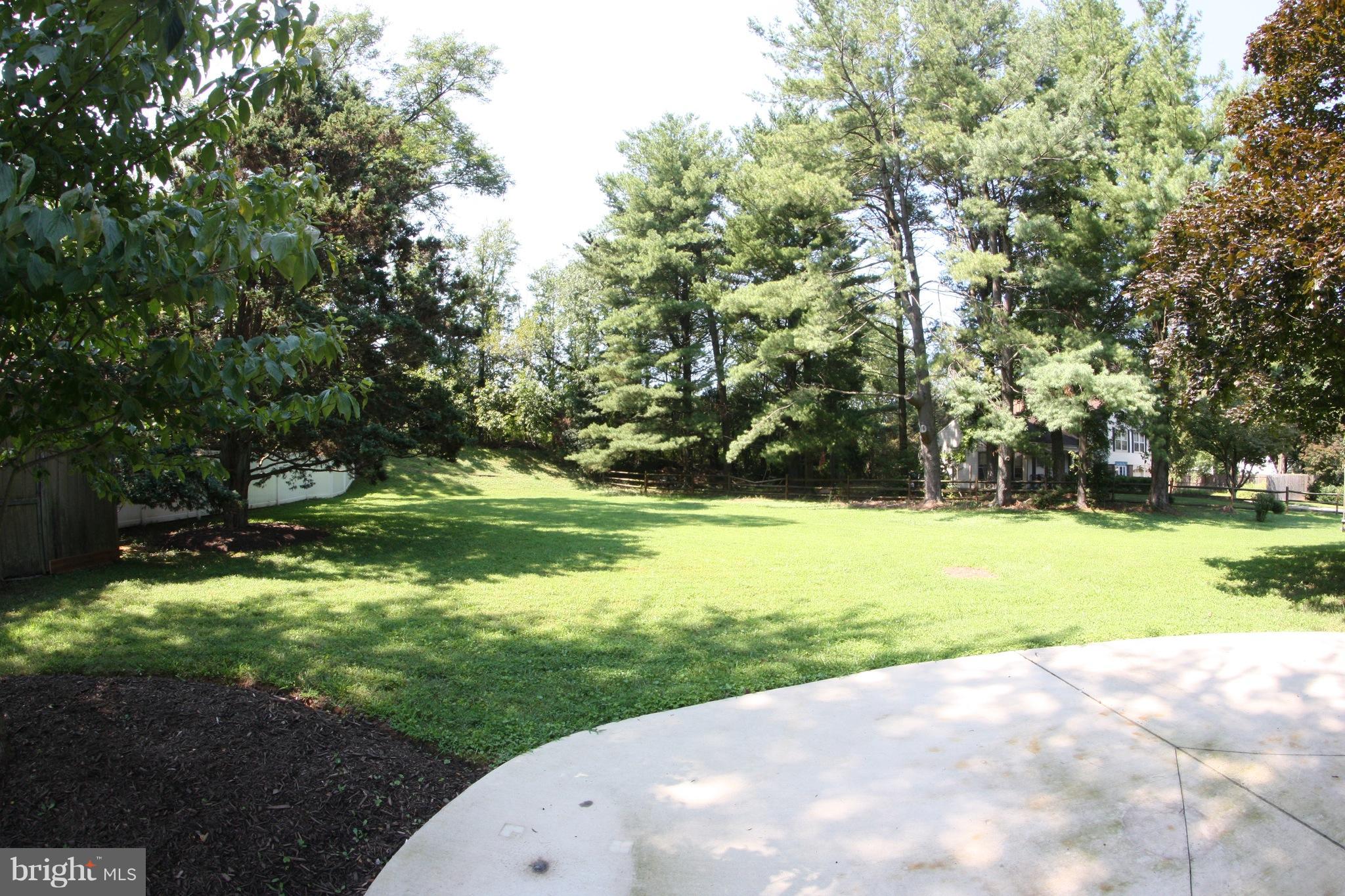 2425 Countryside Drive Silver Spring, MD 20905 - Photo 23 of 24 a view of swimming pool with a yard