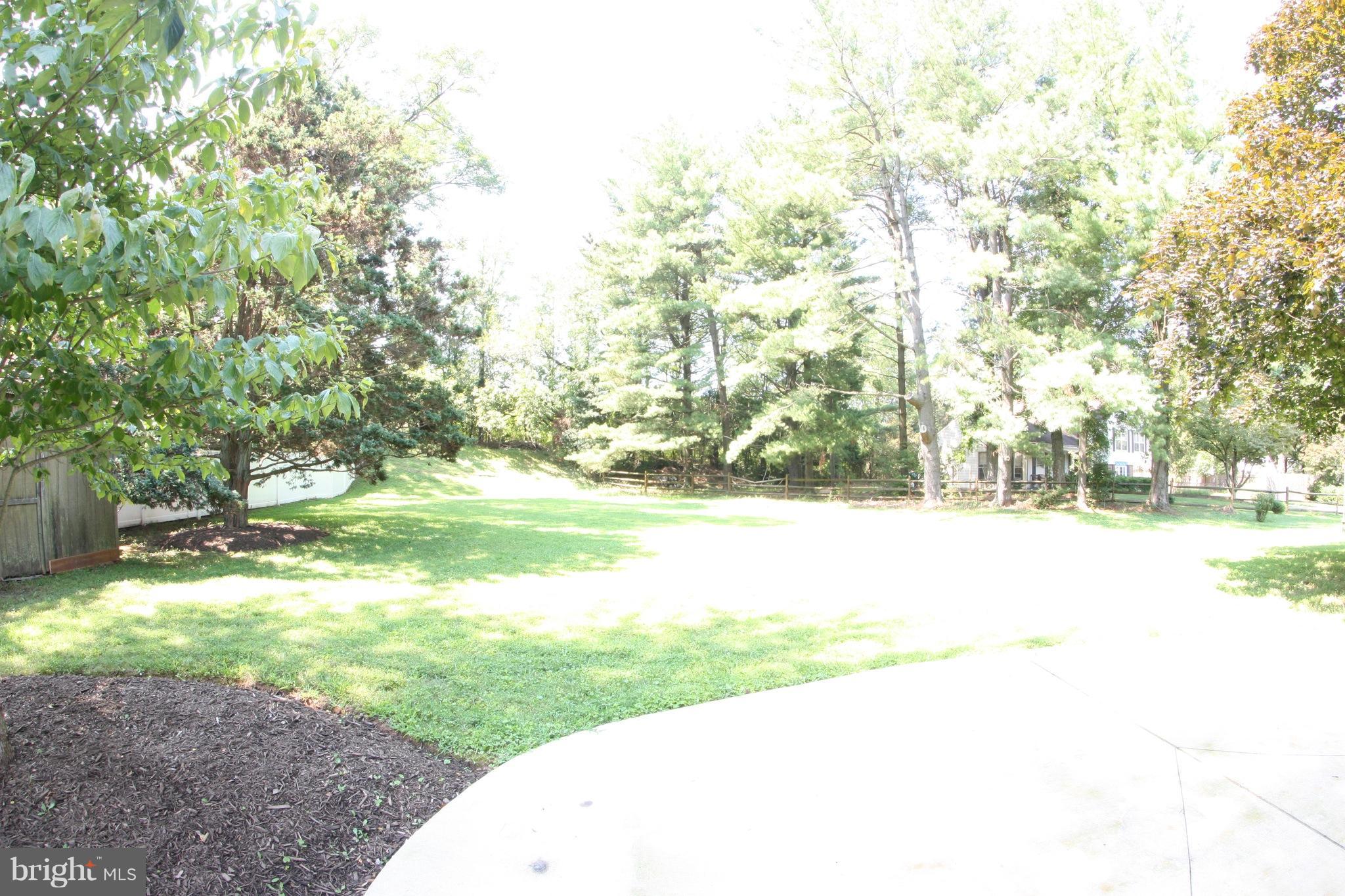 2425 Countryside Drive Silver Spring, MD 20905 - Photo 24 of 24 a view of yard with green space