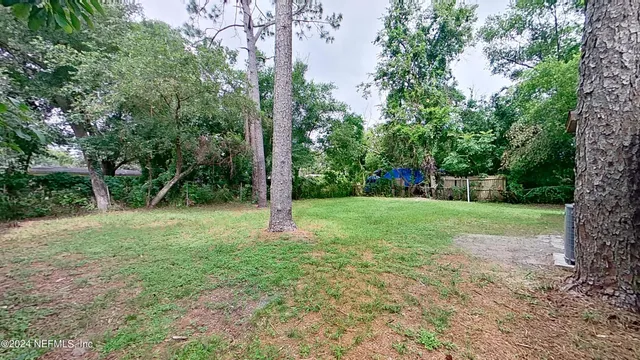 a view of a yard with a tree