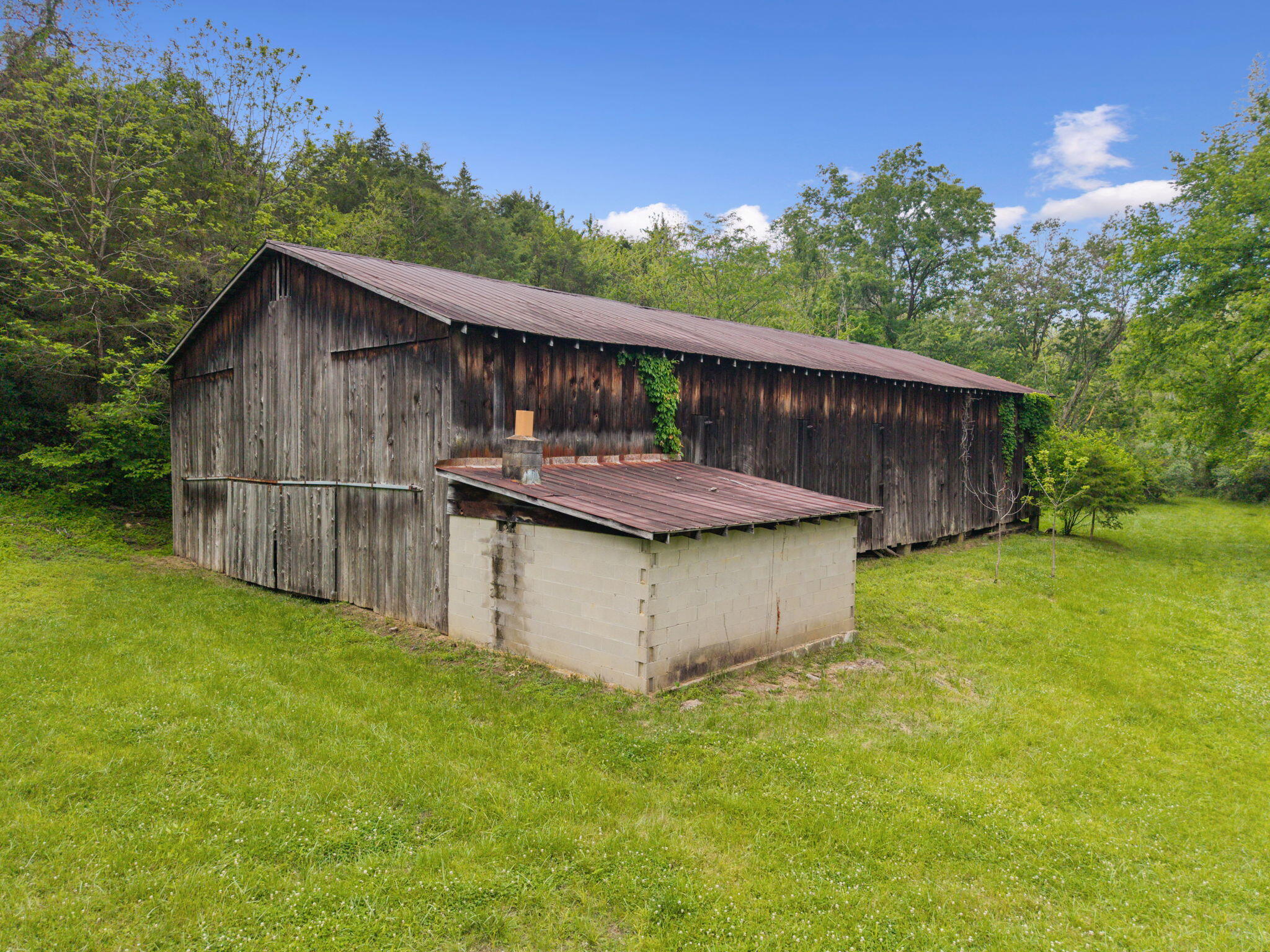 925 Lockmier Road Augusta, KY 41002 - Photo 36 of 50