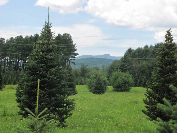 Lot #1 Lawrence Farm Road Morristown, VT 05661 - Photo 1 of 3 Gallery Image 1