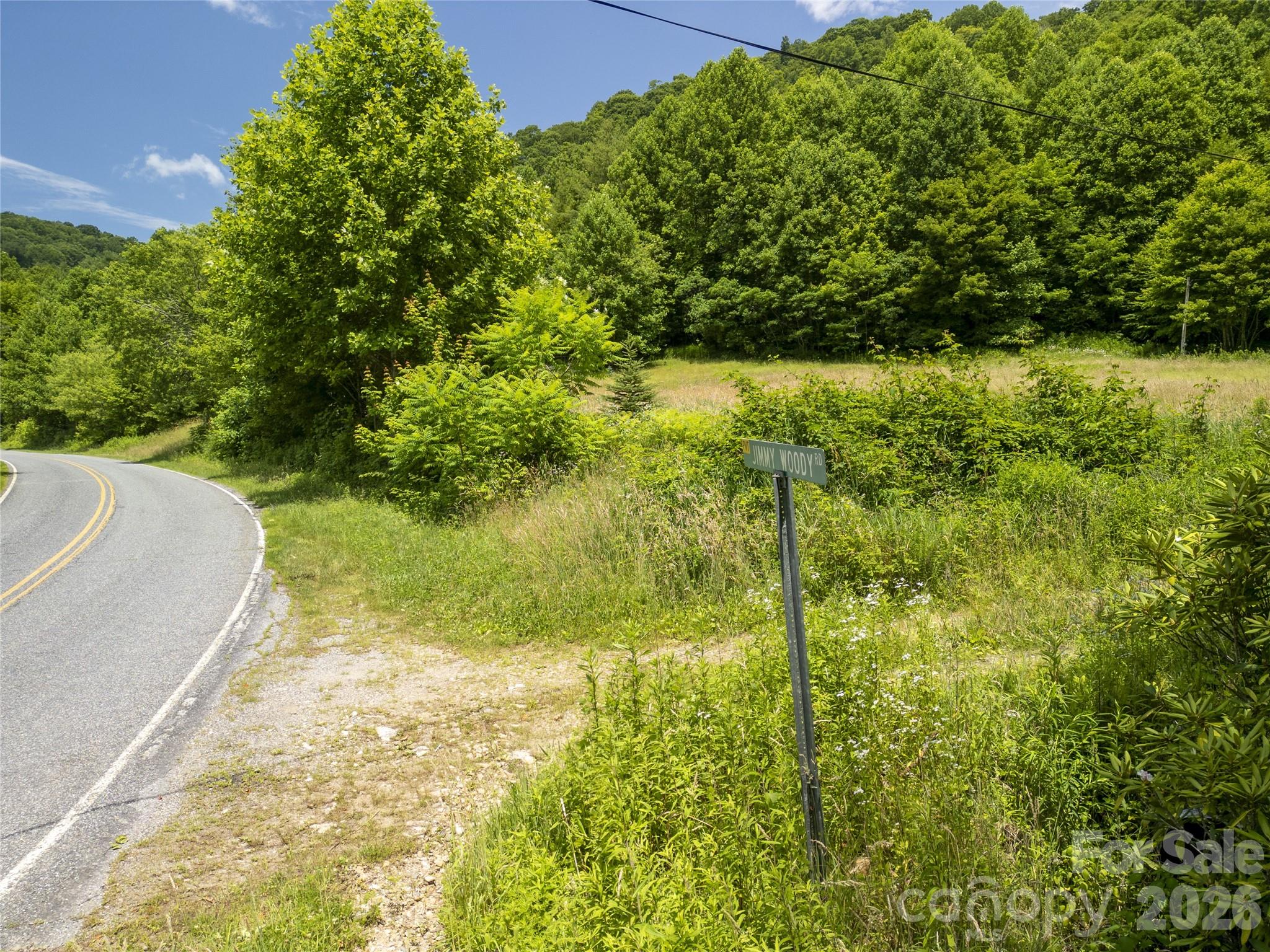 168 Smith Creek Road Mars Hill, NC 28754 - Photo 9 of 46