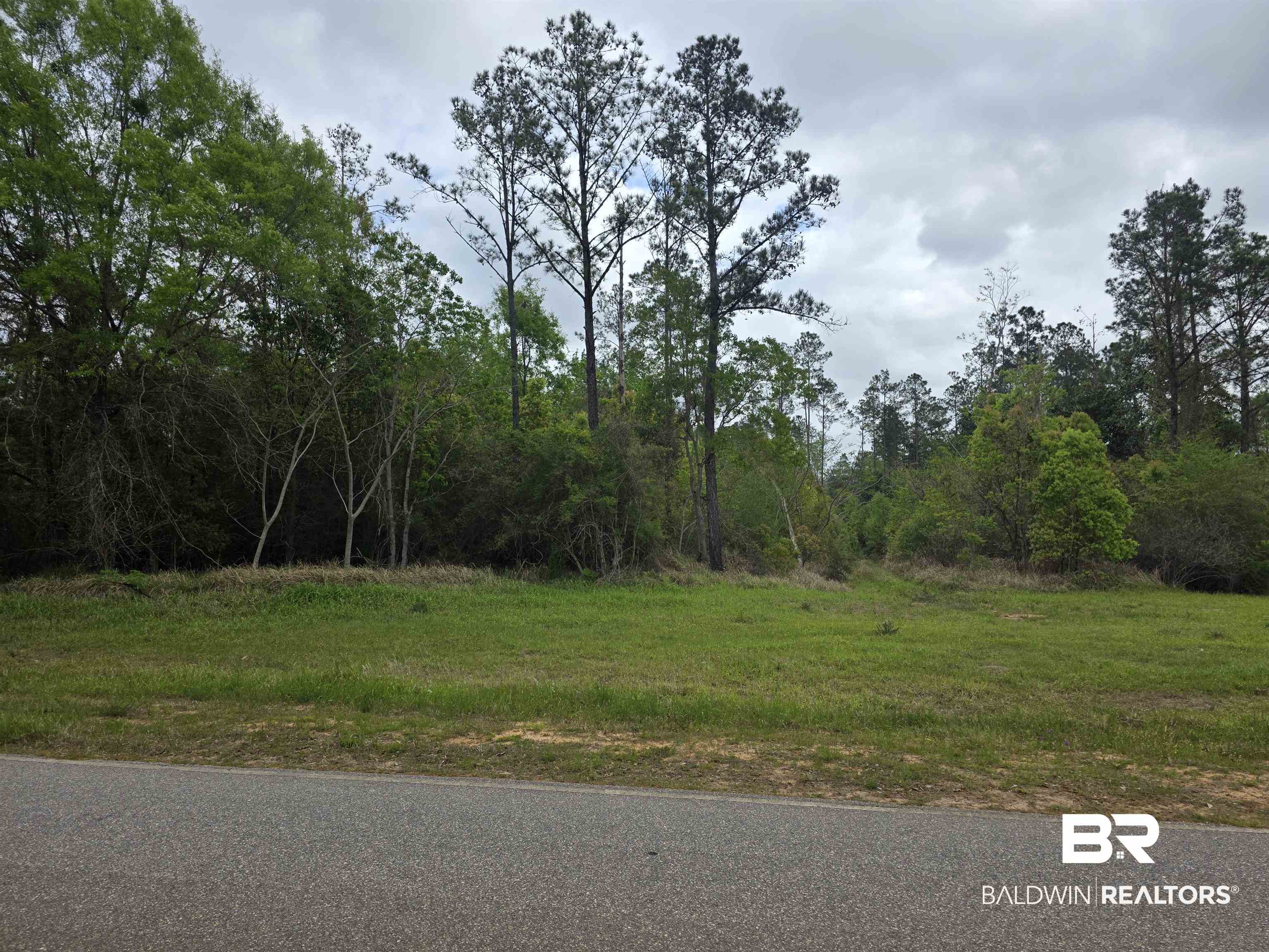 11631 Red Hill Rd Extension Bay Minette, AL 36507 - Photo 2 of 18 View of asphalt street