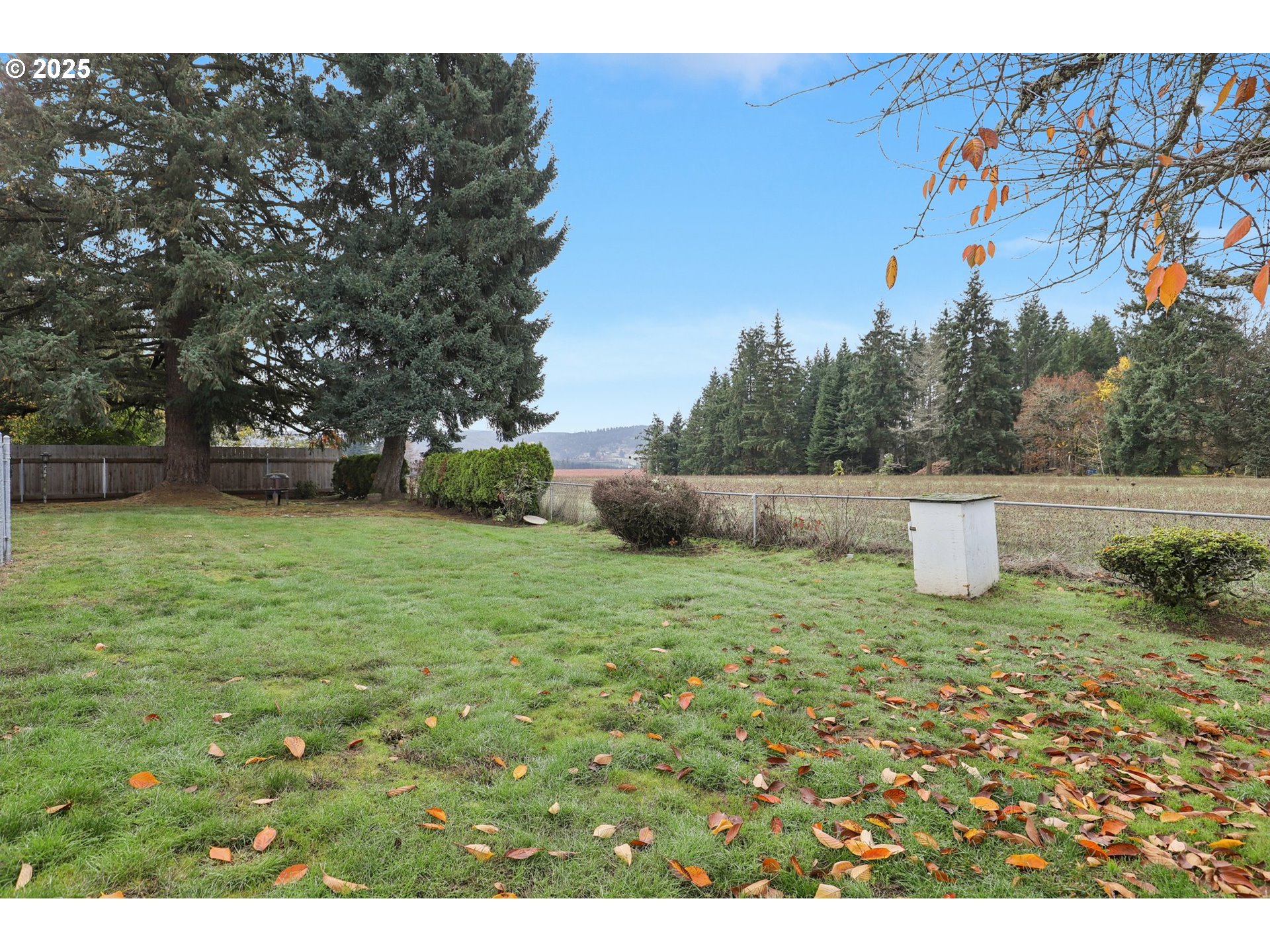 4535 Southwest Golf Course Road Cornelius, OR 97113 - Photo 37 of 43 a view of outdoor space and yard