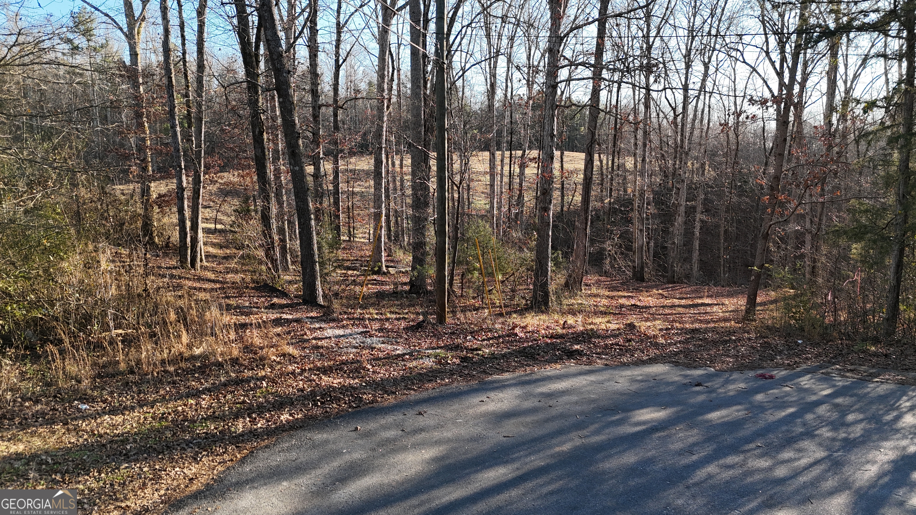 151 Sandy Springs Drive Athens, GA 30601 - Photo 1 of 23