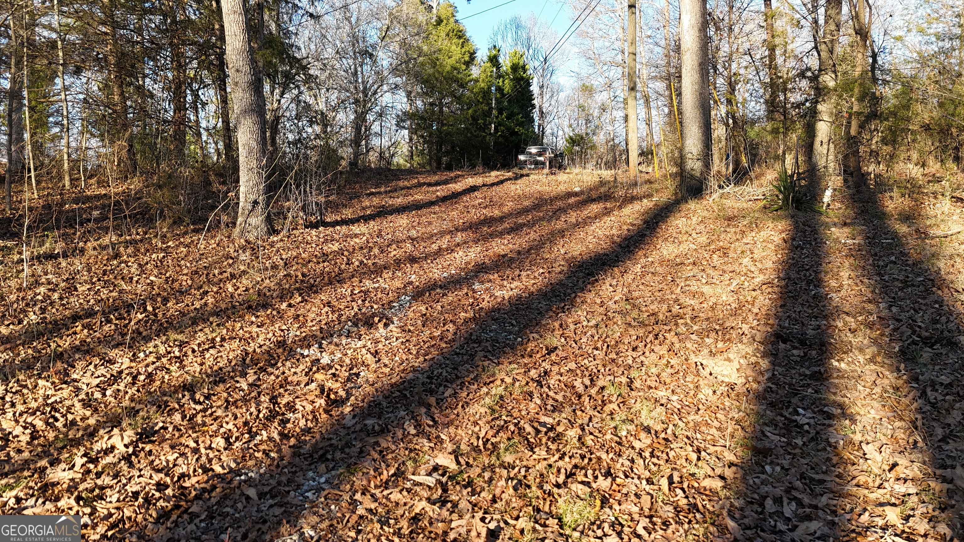 151 Sandy Springs Drive Athens, GA 30601 - Photo 12 of 23