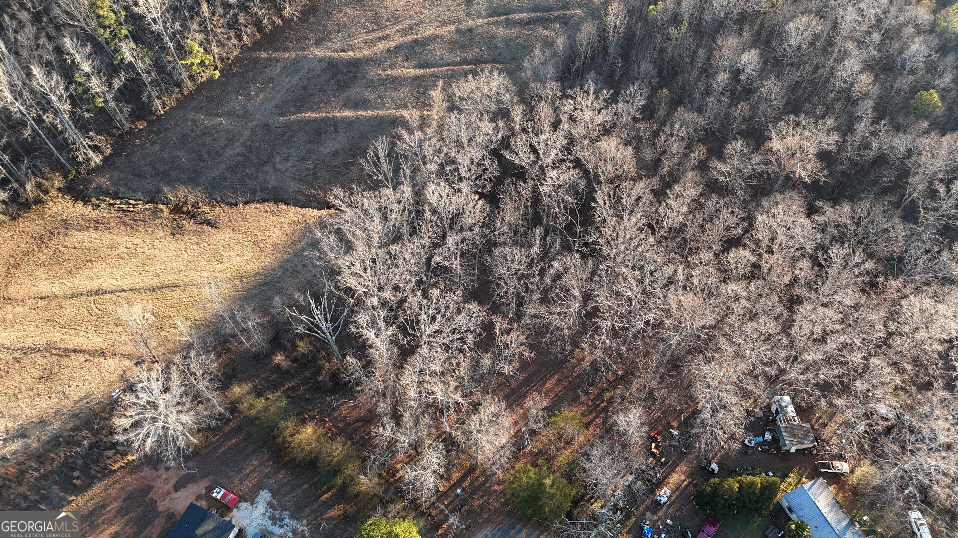 151 Sandy Springs Drive Athens, GA 30601 - Photo 16 of 23