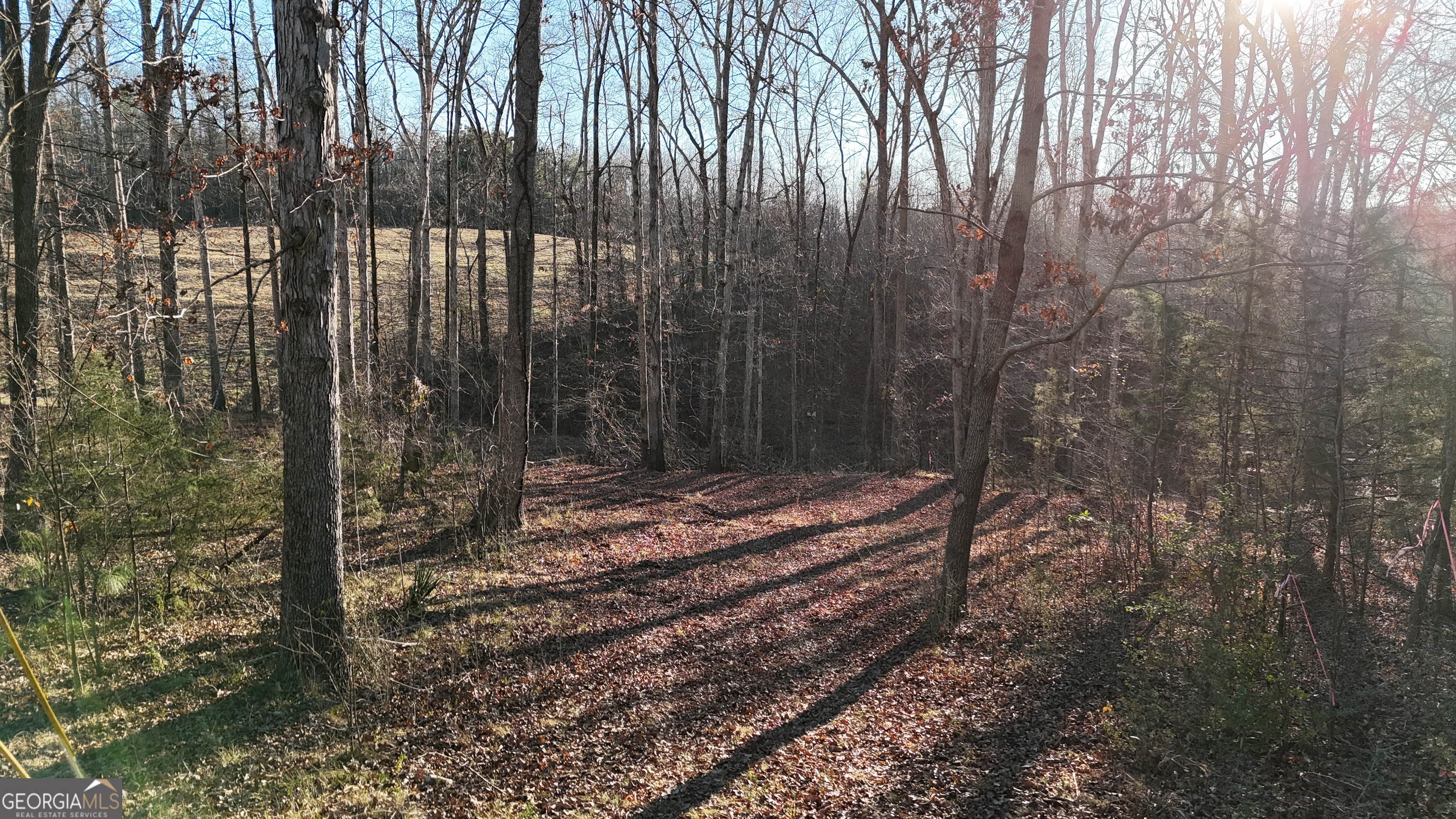 151 Sandy Springs Drive Athens, GA 30601 - Photo 2 of 23