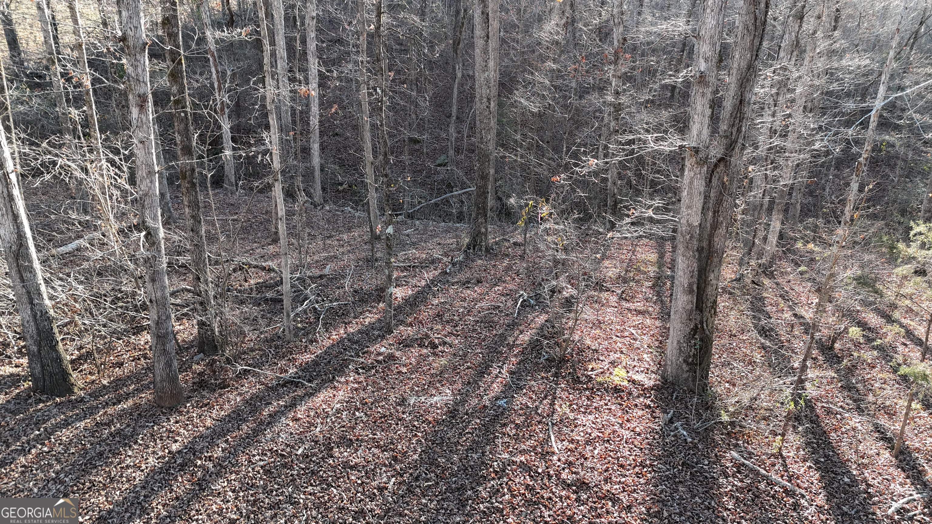 151 Sandy Springs Drive Athens, GA 30601 - Photo 4 of 23