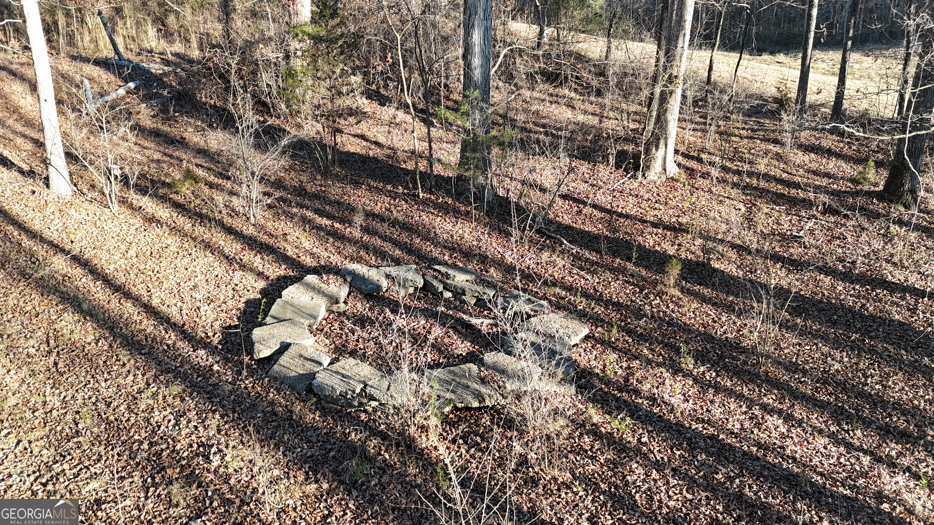 151 Sandy Springs Drive Athens, GA 30601 - Photo 6 of 23