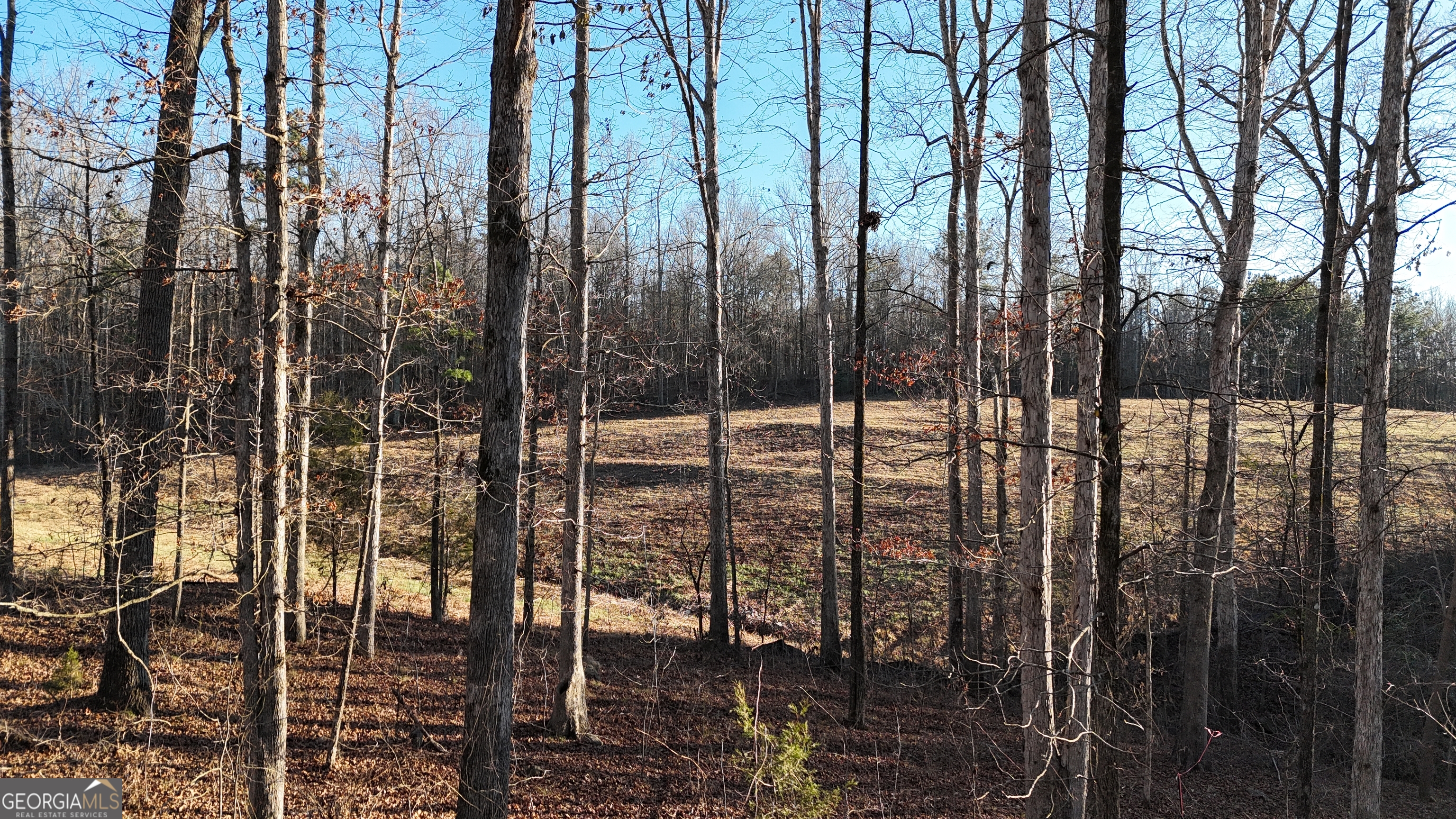 151 Sandy Springs Drive Athens, GA 30601 - Photo 9 of 23