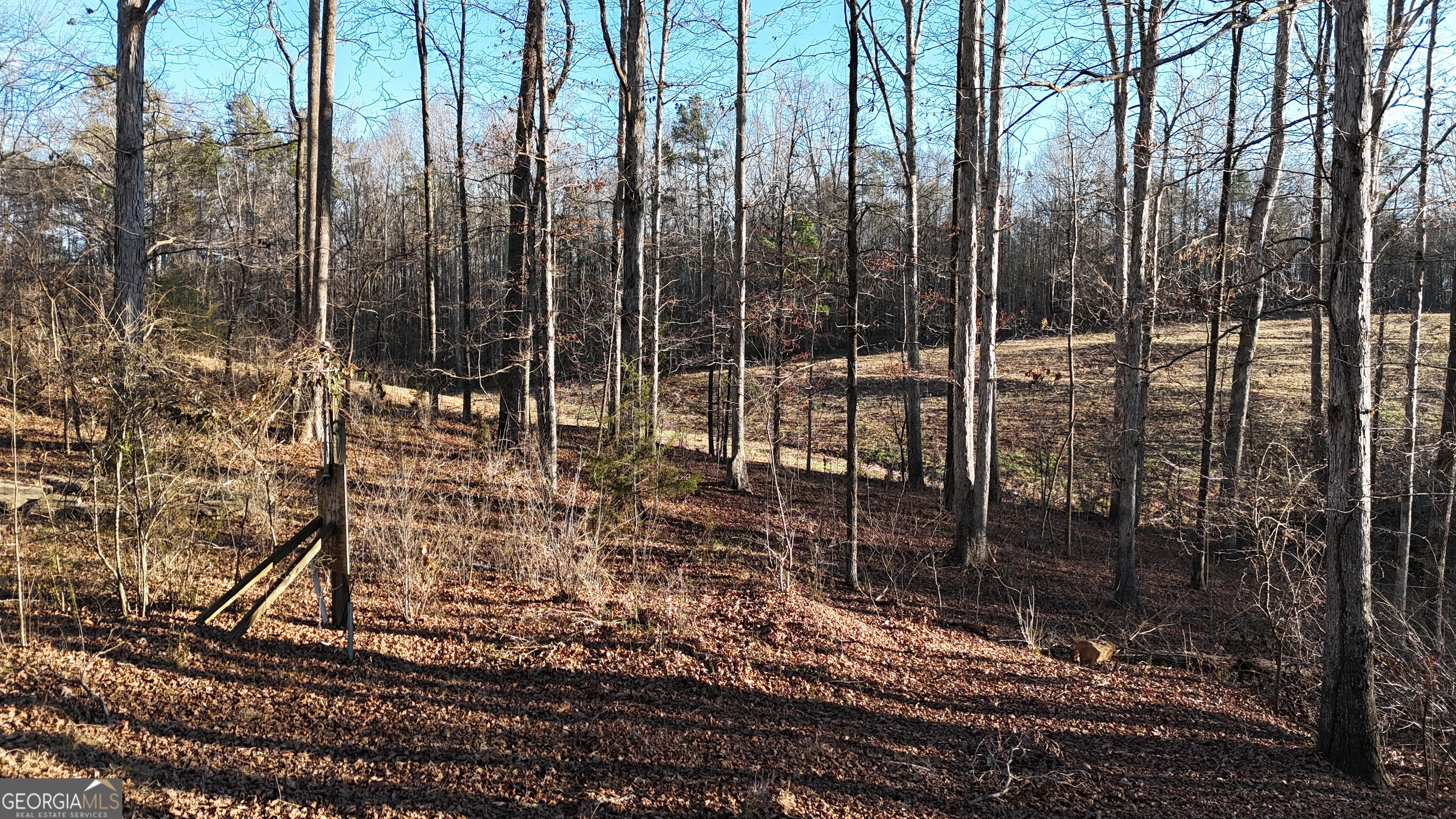 151 Sandy Springs Drive Athens, GA 30601 - Photo 10 of 23