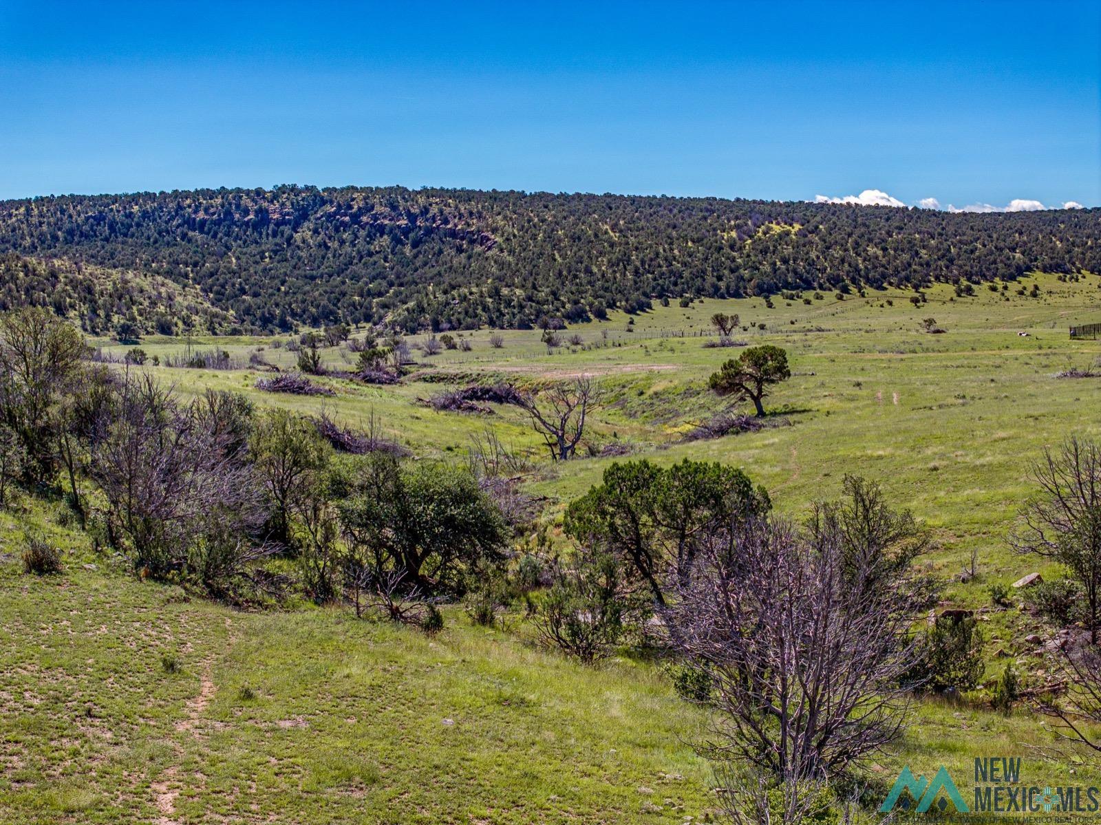 398 Pine Road Capitan, NM 88316 - Photo 51 of 68 View of mountain backdrop featuring rural landscape