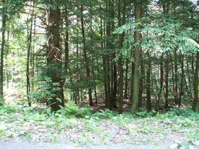 0 Allen Road Salem, NY 12865 - Photo 11 of 12 Photo 11