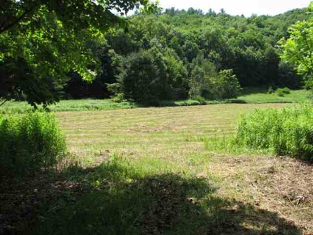 0 Allen Road Salem, NY 12865 - Photo 3 of 12 Photo 3