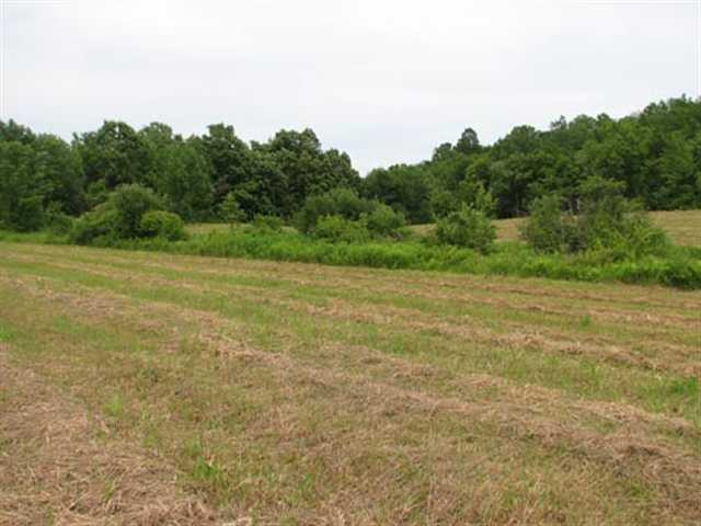 0 Allen Road Salem, NY 12865 - Photo 8 of 12 Photo 8