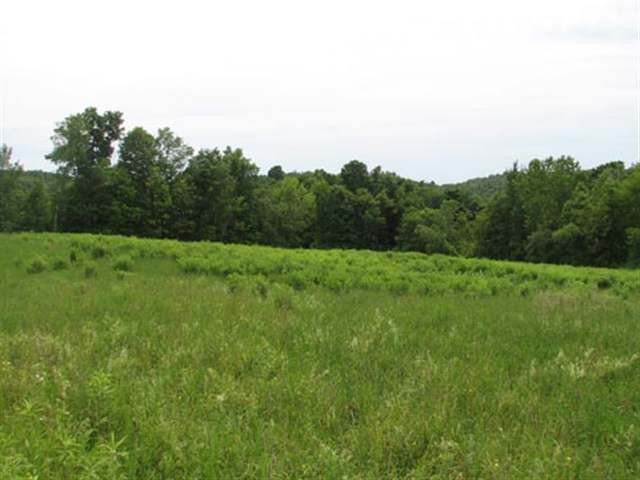 0 Allen Road Salem, NY 12865 - Photo 10 of 12 Photo 10