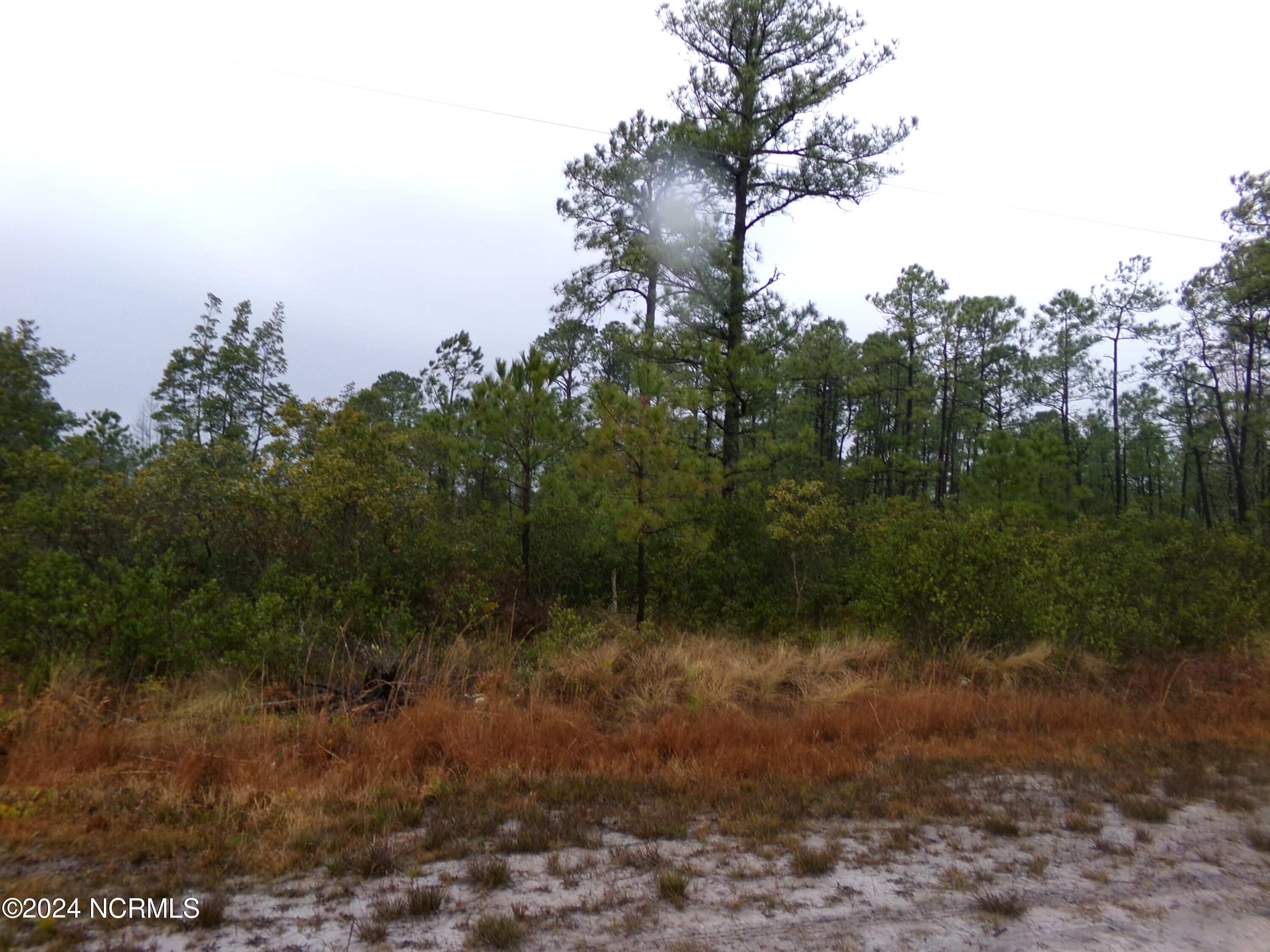 Lot 185 Hunters Road Southport, NC 28461 - Photo 1 of 1 139_0424