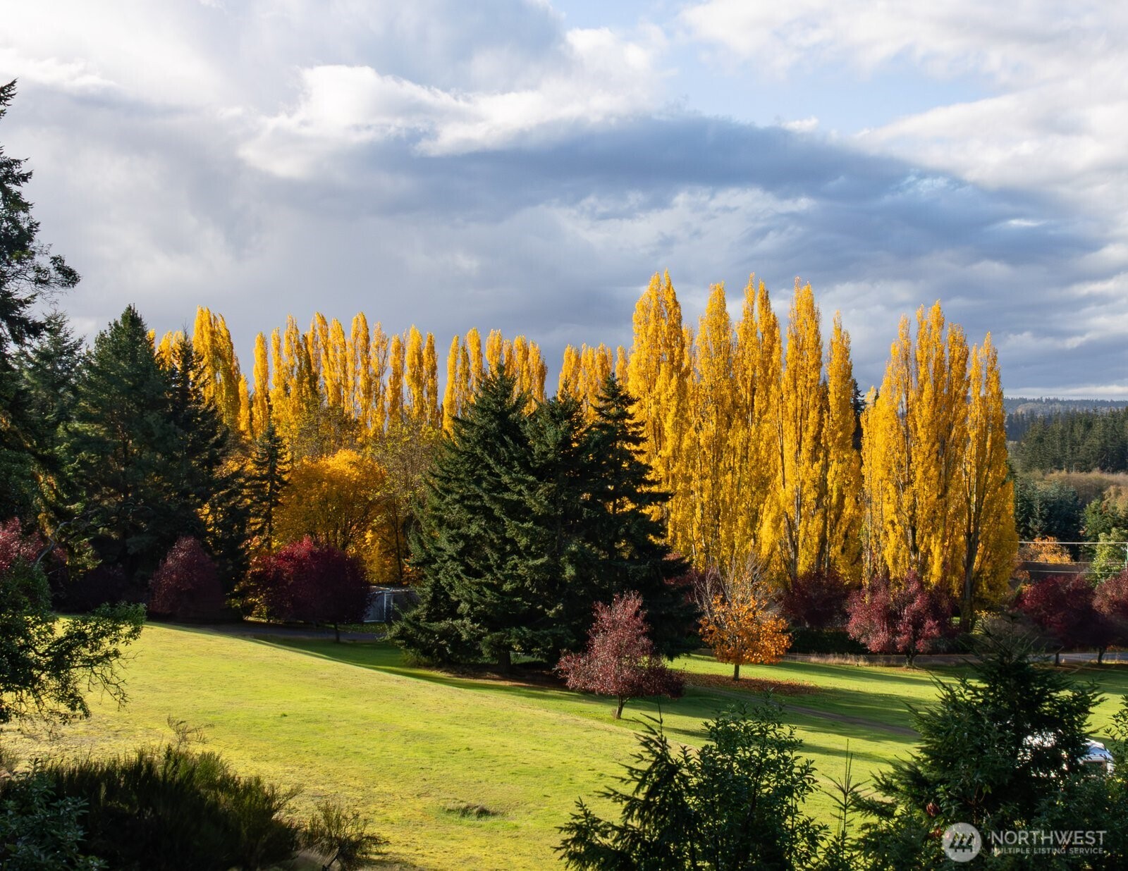 5427 Bayview Road Langley, WA 98260 - Photo 25 of 40 a view of a yard with swimming pool and green space
