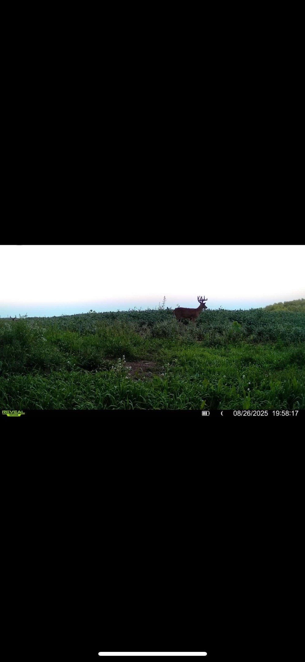 0 County Rd OO Strum, WI 54770 - Photo 23 of 59