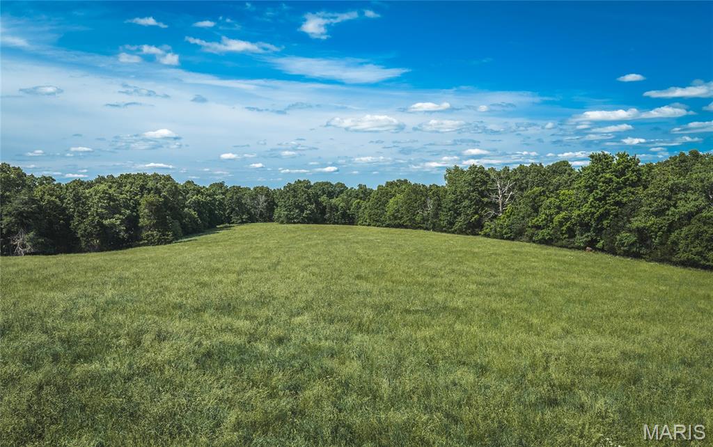 21269 Bangor Road Crocker, MO 65452 - Photo 8 of 27