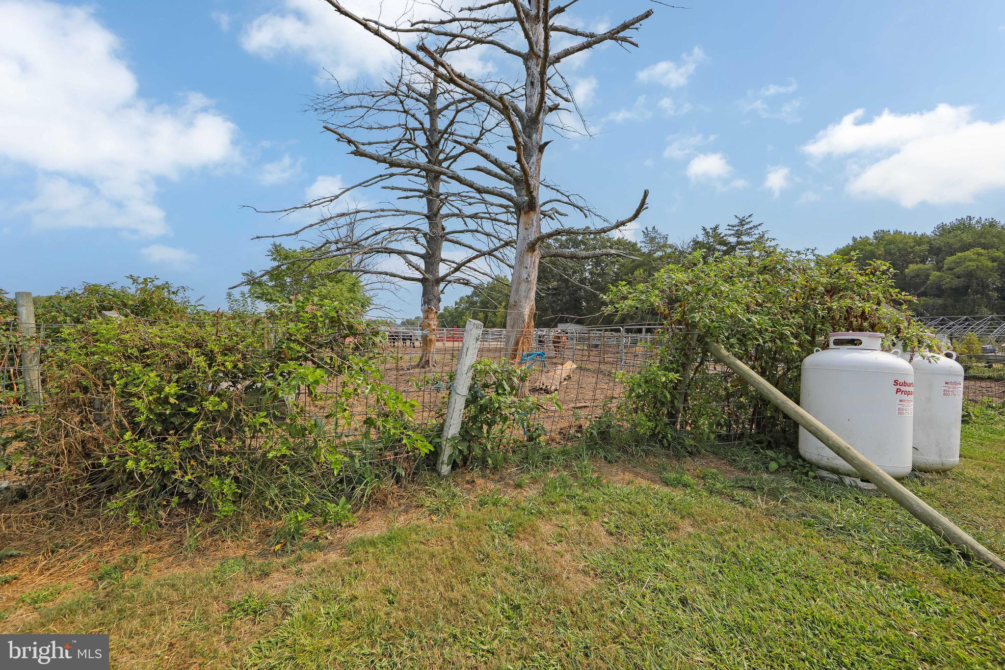54 Three Bridge Road Monroeville, NJ 08343 - Photo 11 of 35 a backyard of a house with lots of green space