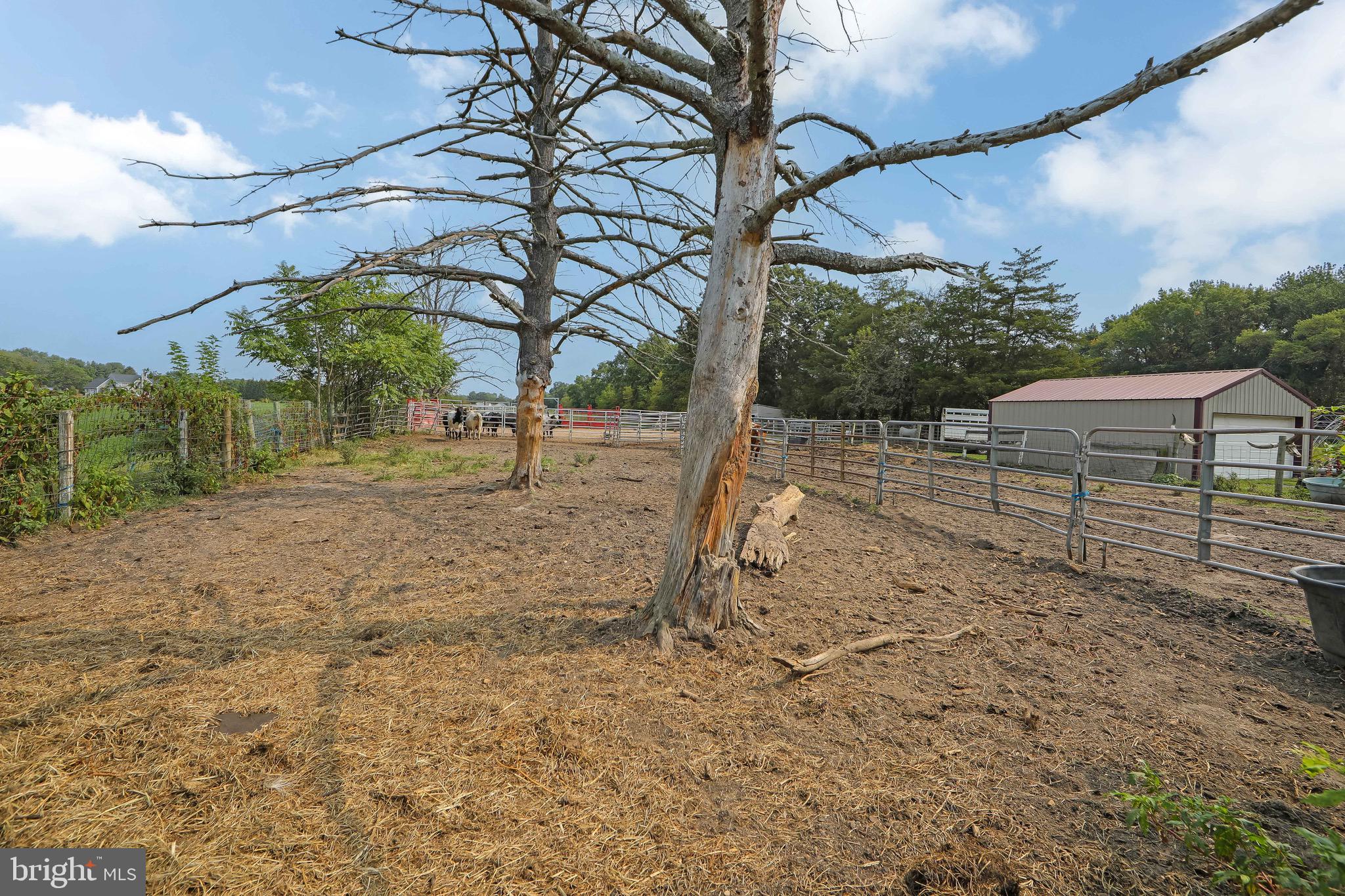 54 Three Bridge Road Monroeville, NJ 08343 - Photo 12 of 35 a view of backyard with wooden fence