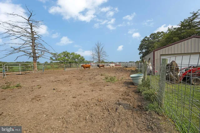 a view of a field with of trees
