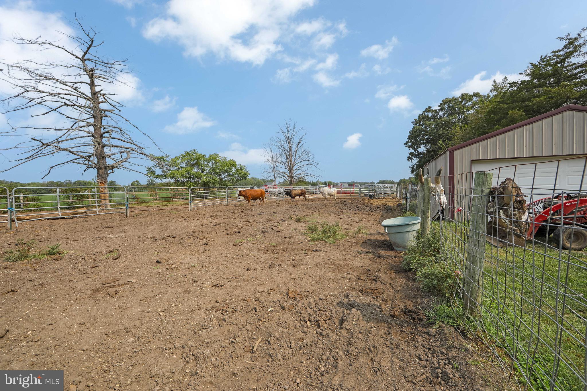 54 Three Bridge Road Monroeville, NJ 08343 - Photo 8 of 35 a view of a field with of trees