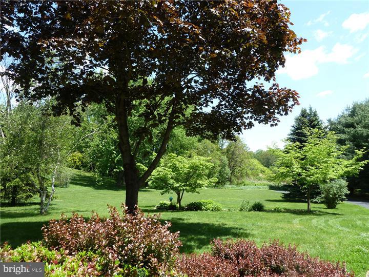 8 Blakely Road Downingtown, PA 19335 - Photo 3 of 21 Front Yard
